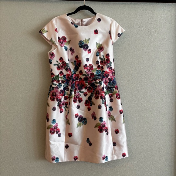 ❗️NWT Ted Baker Ibia Baby Pink Cap Sleeve Dress with Multicolor Floral Print 10